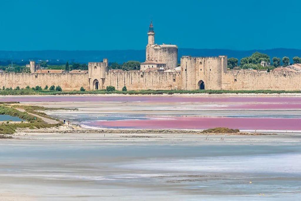 Maison A 800M Des Remparts Aigues-Mortes Exterior foto